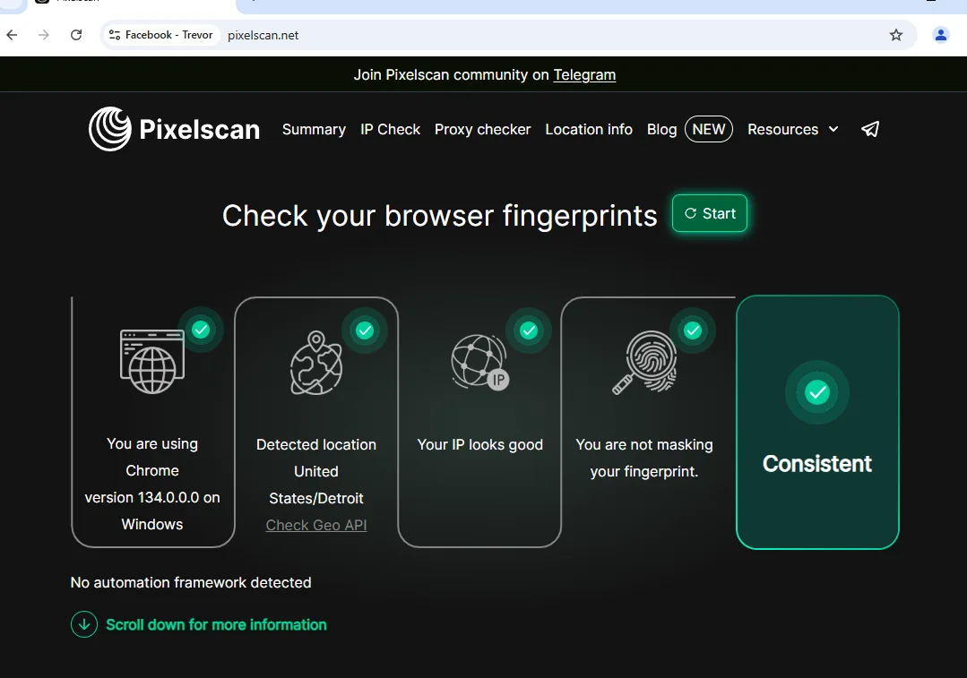 Vision Browser проходит чекер Pixelscan