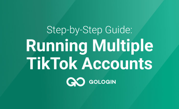 multiple TikTok accounts