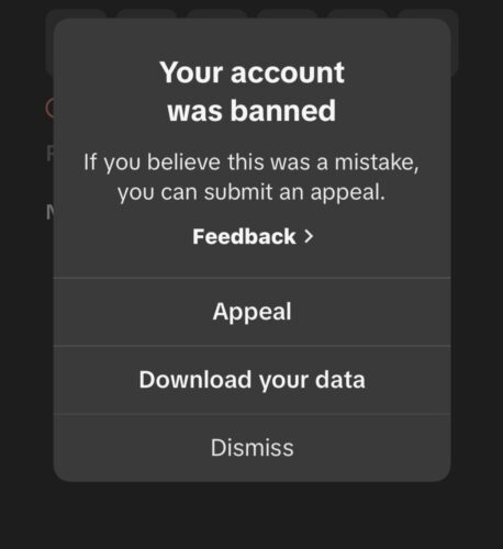  Image showing a TikTok notification about account ban.